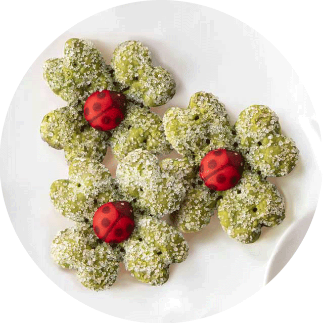 クローバーパイ