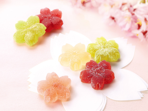 恵みのしずく さくら