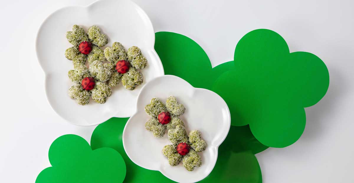 クローバーパイ